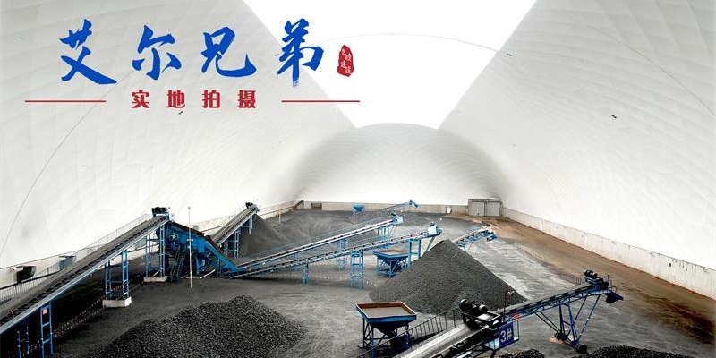 武家塔氣膜煤棚